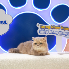 Sự kiện triển lãm gian hàng Pawtiful tại InterPetFest 2026 — SECC, TP.HCM